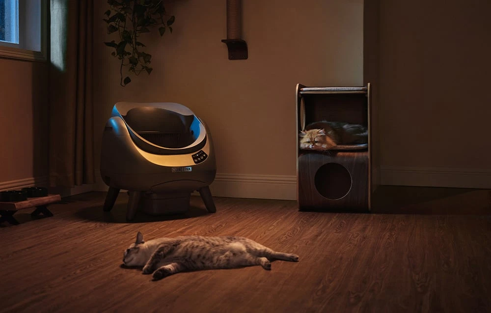 CATLINK Open-X savaime išsivalantis automatinis išmanus kačių tualetas su APP pilkas aprašymas - Prekės nuotrauka CATLINK Open-X savaime išsivalantis automatinis išmanus kačių tualetas su APP pilkas aprašymas - Prekės nuotrauka