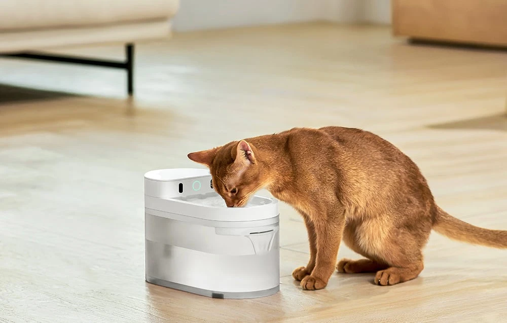 Catlink Pure 3 išmanusis fontanas ir gertuvė gyvūnams – baltas aprašymas - Prekės nuotrauka