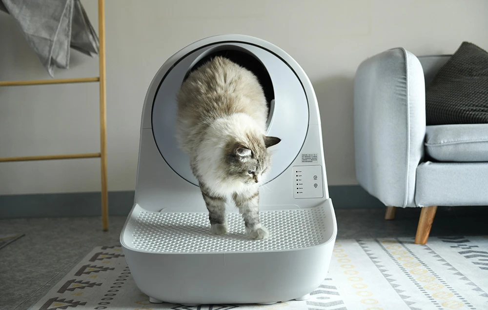 Laiptai Catlink Scooper kraiko dėžėms (pilki) aprašymas - Prekės nuotrauka