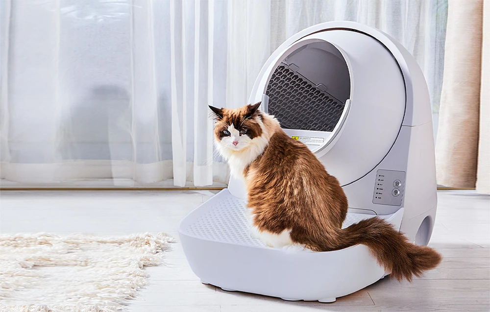 Laiptai Catlink Scooper kraiko dėžėms (pilki) aprašymas - Prekės nuotrauka