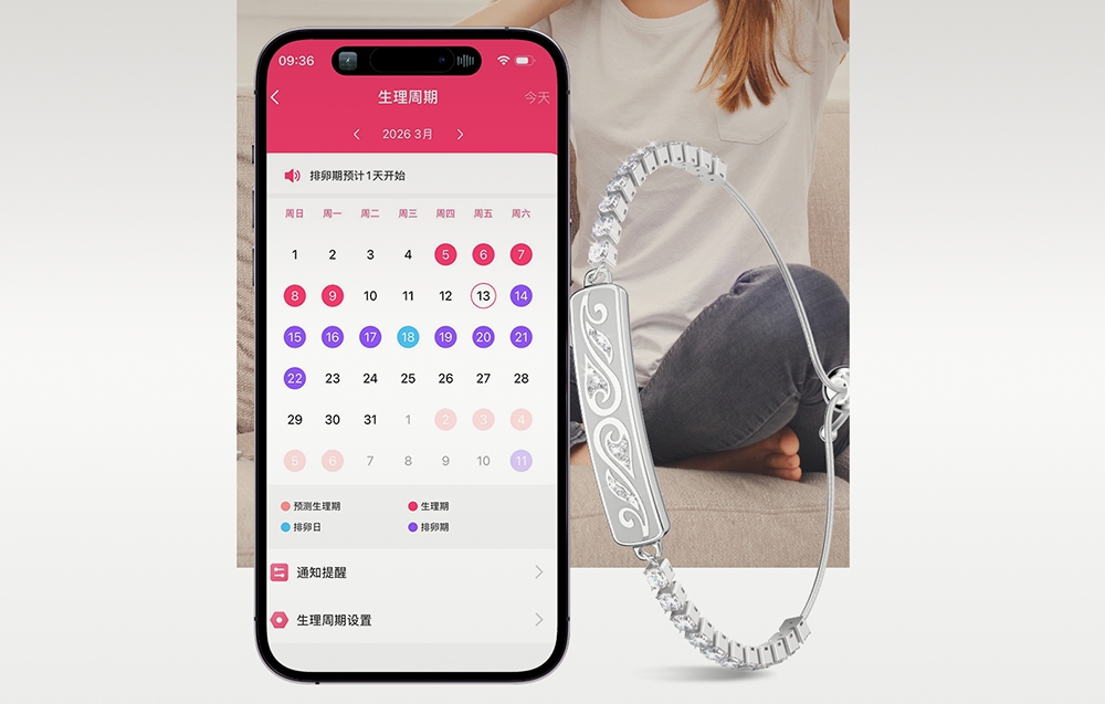 Išmanusis laikrodis Colmi M06 Smartband (sidabrinis) aprašymas - Prekės nuotrauka