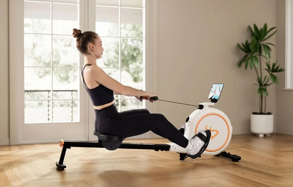 Deerrun Deer Run RW600 Magnetic Rowing Machine (Baltas) aprašymas - Prekės nuotrauka