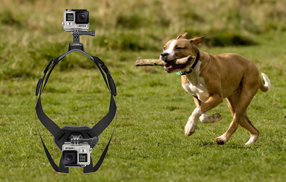 dog-chest-strap-puluz-for-action-cameras