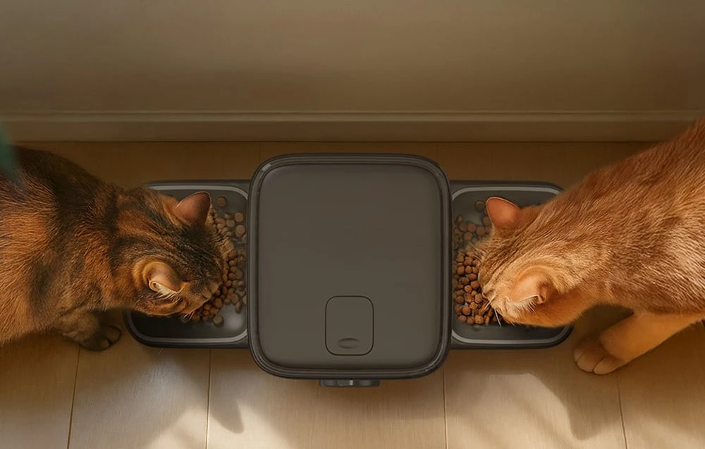 Double Intelligent Feed Dispenser 5L Oneisall PF09 aprašymas - Prekės nuotrauka