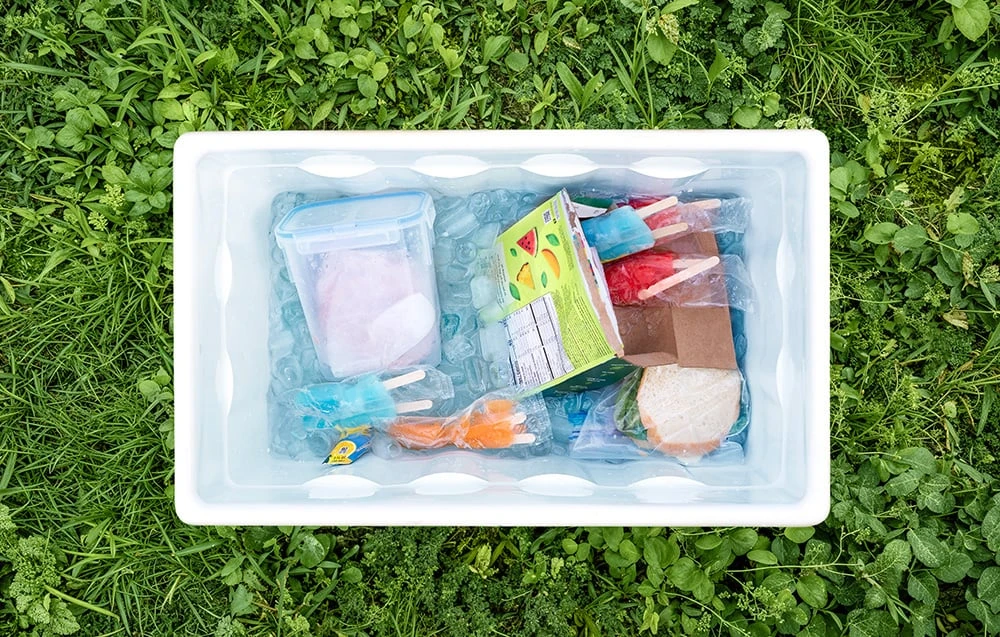 EcoFlow Glacier Classic 35l portable šaldytuvas aprašymas - Prekės nuotrauka