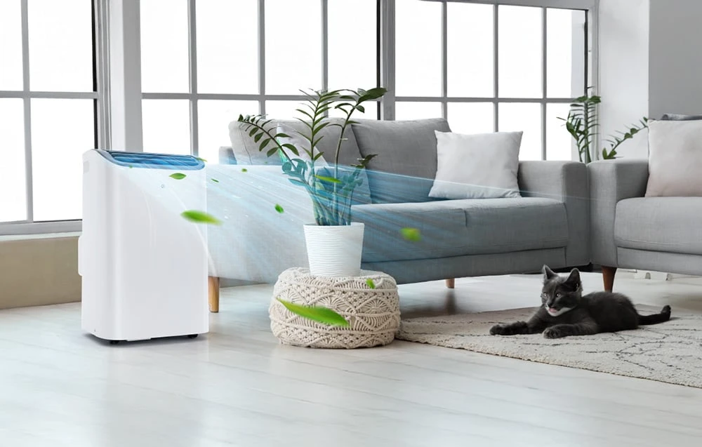 Kondicionierius EUHOMY PAC004 12,000 BTU 3-in-1 Portable Air Conditioner aprašymas - Prekės nuotrauka