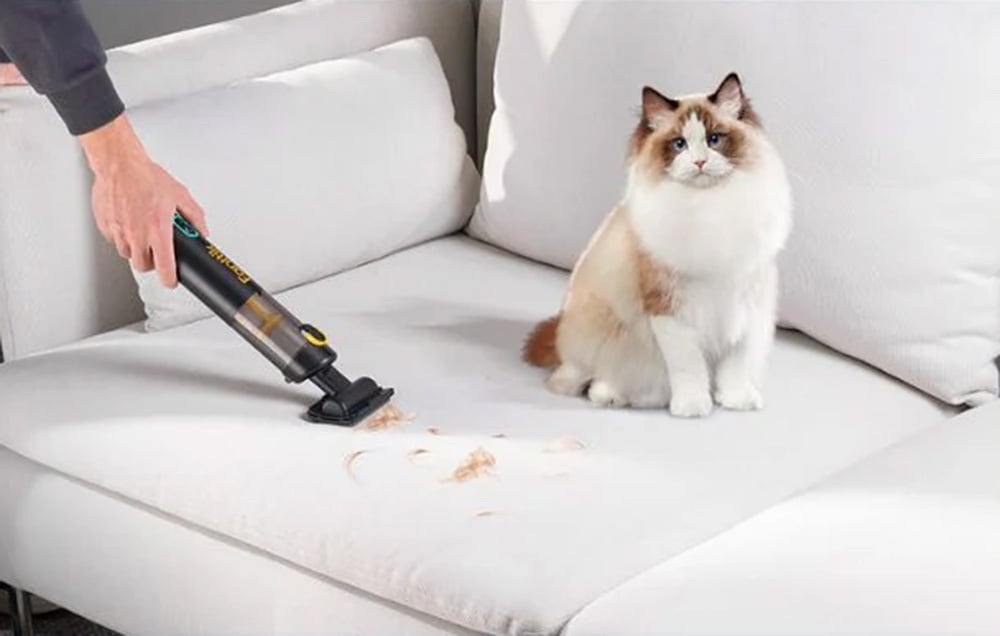 Dulkių siurblys Fanttik V8 Apex cordless portable car vacuum cleaner (juodas) aprašymas - Prekės nuotrauka Dulkių siurblys Fanttik V8 Apex cordless portable car vacuum cleaner (juodas) aprašymas - Prekės nuotrauka