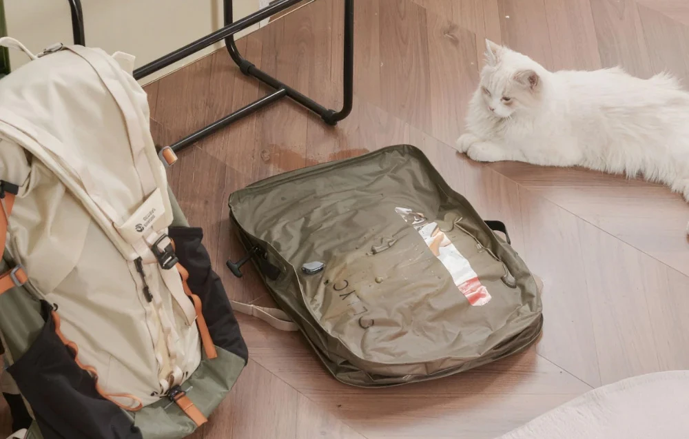 FLEXTAIL EZY Pack L Vacuum Bag (Žalias) aprašymas - Prekės nuotrauka FLEXTAIL EZY Pack L Vacuum Bag (Žalias) aprašymas - Prekės nuotrauka