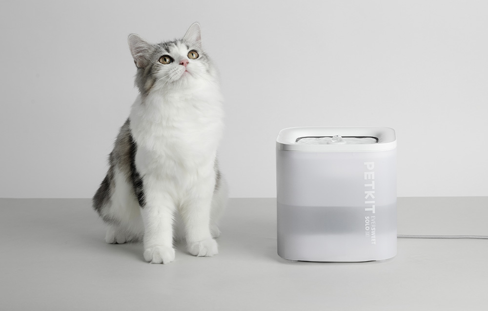 PetKit Eversweet SOLO SE fontanas ir gertuvė gyvūnams aprašymas - Prekės nuotrauka
