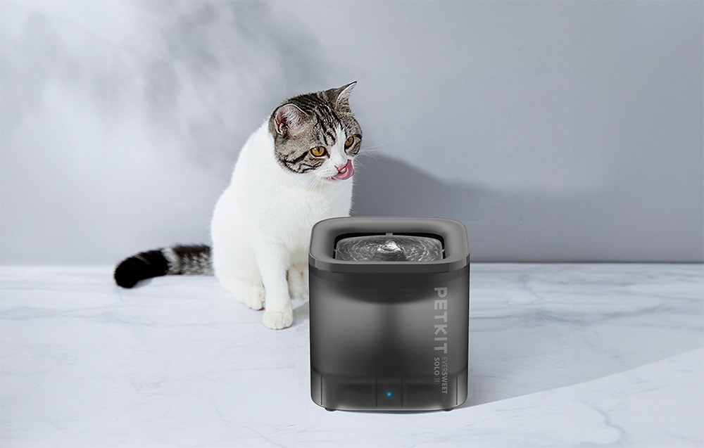PETKIT | „Smart Pet“ gėrimo fontanas | Eversweet Solo | Talpa 1,8 L | Filtravimas | Medžiaga Plastikas | Pilkas aprašymas - Prekės nuotrauka PETKIT | „Smart Pet“ gėrimo fontanas | Eversweet Solo | Talpa 1,8 L | Filtravimas | Medžiaga Plastikas | Pilkas aprašymas - Prekės nuotrauka