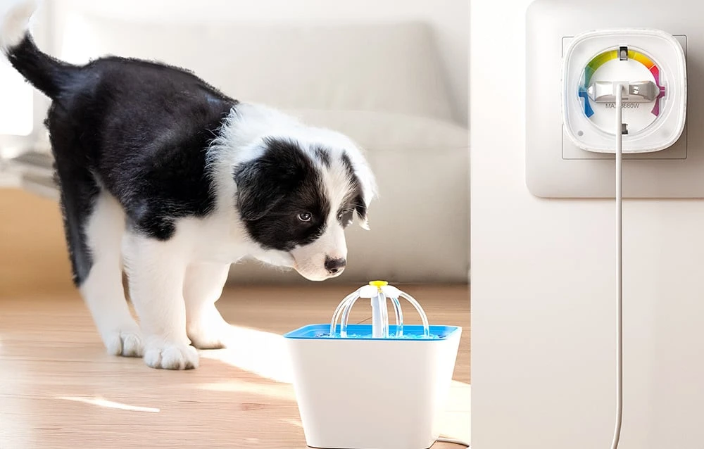 Gosund EP8-M 16A WiFi smart socket Xiaomi aprašymas - Prekės nuotrauka