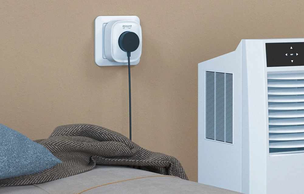 Gosund SP112-M 2xUSB WiFi smart socket (Xiaomi) aprašymas - Prekės nuotrauka