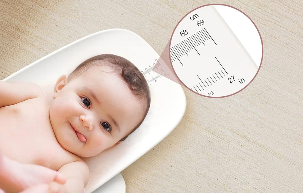 Svarstyklės Grownsy B12H multifunctional baby scale aprašymas - Prekės nuotrauka