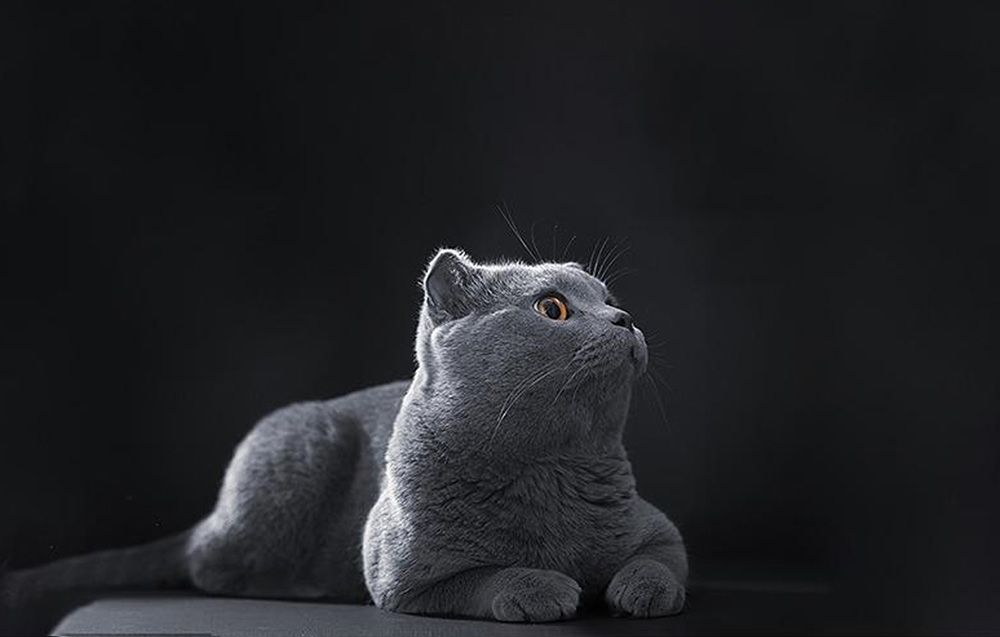 heiman-ws3ms-tuya-smart-pir-wifi-motion