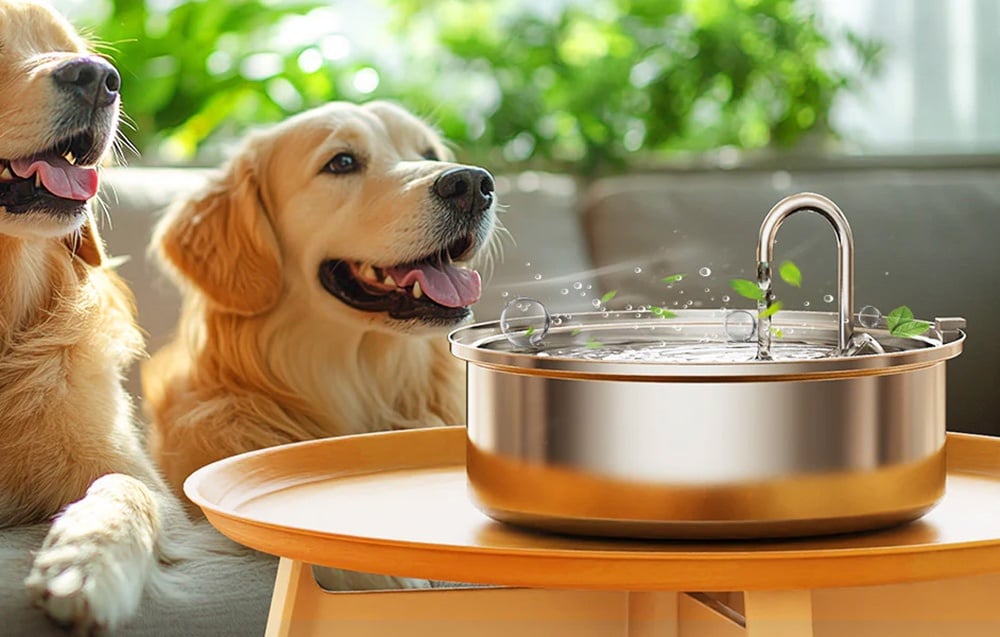 Intelligent 7L pet fountain/ drinker Oneisall PWF-002 aprašymas - Prekės nuotrauka Intelligent 7L pet fountain/ drinker Oneisall PWF-002 aprašymas - Prekės nuotrauka