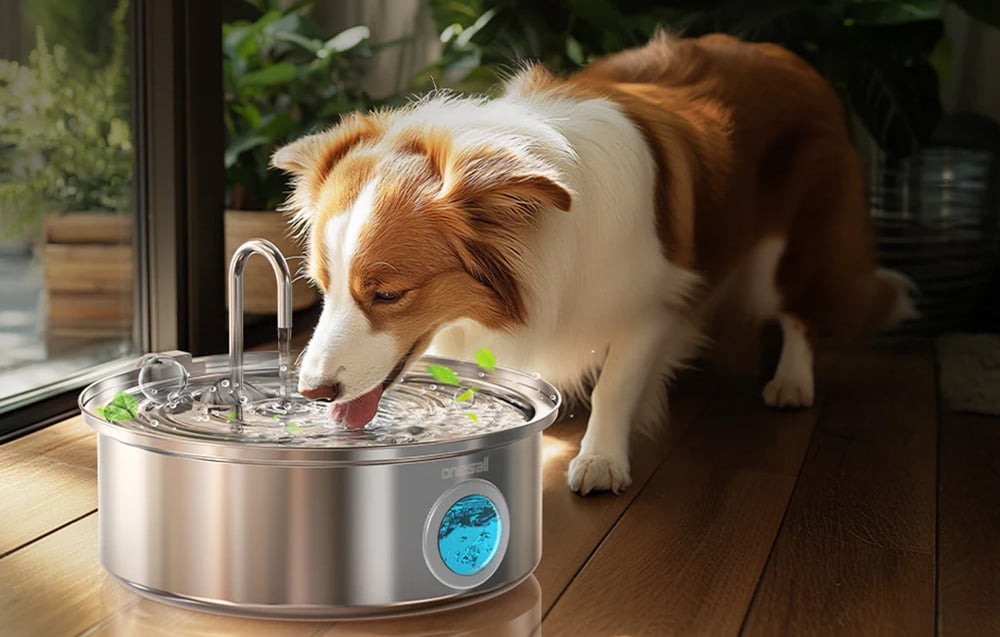 Intelligent 7L pet fountain/ drinker Oneisall PWF-002 aprašymas - Prekės nuotrauka Intelligent 7L pet fountain/ drinker Oneisall PWF-002 aprašymas - Prekės nuotrauka