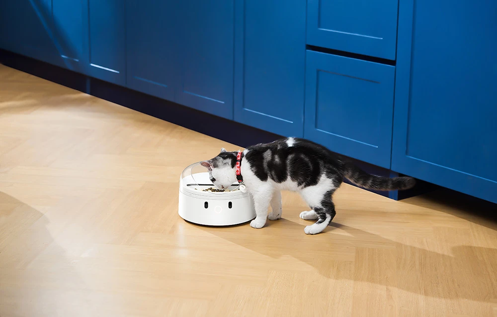 Išmanusis maisto dozatorius CatLink F03 Standard aprašymas - Prekės nuotrauka Išmanusis maisto dozatorius CatLink F03 Standard aprašymas - Prekės nuotrauka