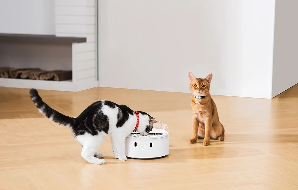 Išmanusis maisto dozatorius CatLink F03 Standard aprašymas - Prekės nuotrauka Išmanusis maisto dozatorius CatLink F03 Standard aprašymas - Prekės nuotrauka
