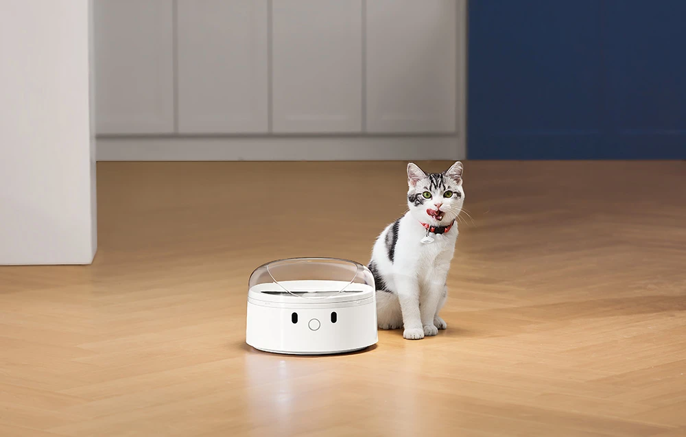 Išmanusis maisto dozatorius CatLink F03 Standard aprašymas - Prekės nuotrauka Išmanusis maisto dozatorius CatLink F03 Standard aprašymas - Prekės nuotrauka