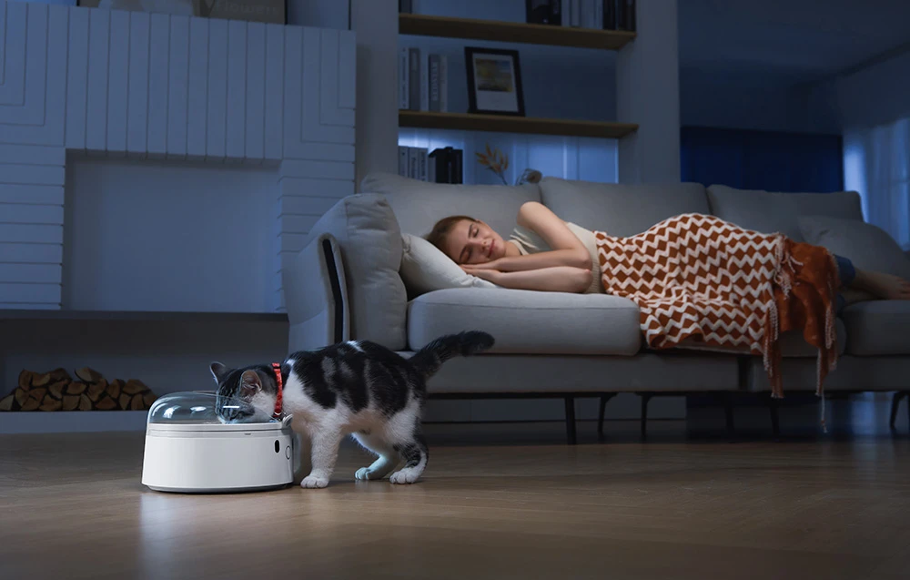 Išmanusis maisto dozatorius CatLink F03 Standard aprašymas - Prekės nuotrauka Išmanusis maisto dozatorius CatLink F03 Standard aprašymas - Prekės nuotrauka