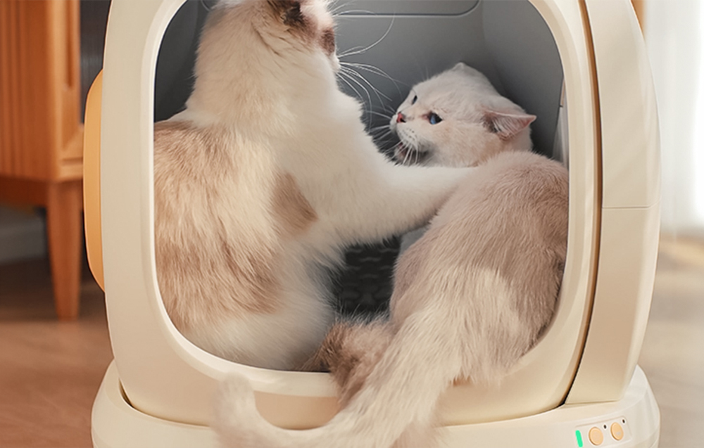 intelektuali savaime išsivalanti kačių kraiko dėžė