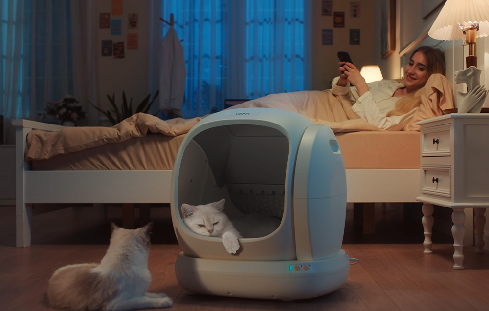 intelektuali savaime išsivalanti kačių kraiko dėžė