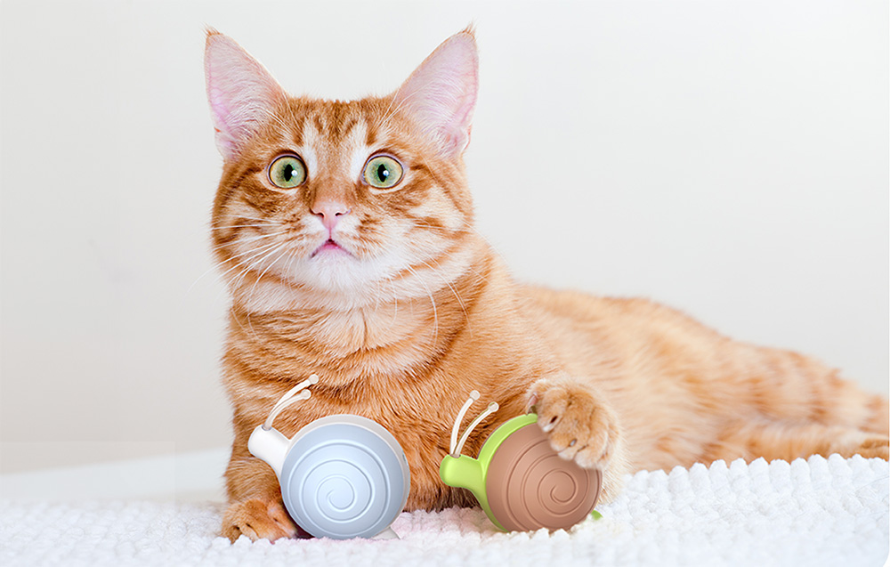 interaktyvus-katinas-žaislas-linksmas-piktas-sraigė