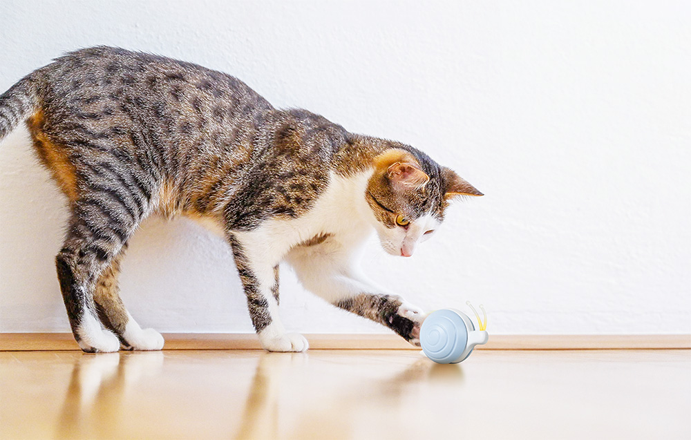 interaktyvus-katinas-žaislas-linksmas-piktas-sraigė