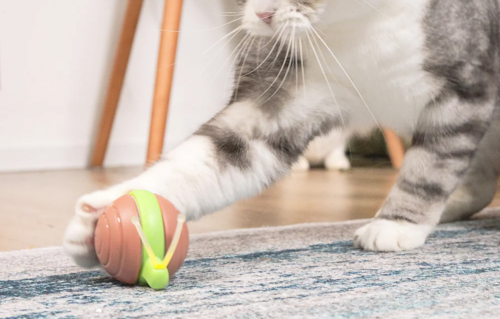 interaktyvus-katinas-žaislas-linksmas-piktas-sraigė