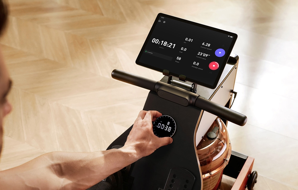 KINGSMITH WM10 PRO Folding Rowing Machine (Walnut) aprašymas - Prekės nuotrauka