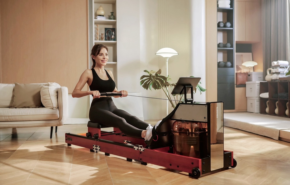 KINGSMITH WM10 PRO Folding Rowing Machine (Walnut) aprašymas - Prekės nuotrauka