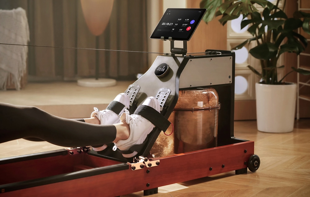 KINGSMITH WM10 PRO Folding Rowing Machine (Walnut) aprašymas - Prekės nuotrauka