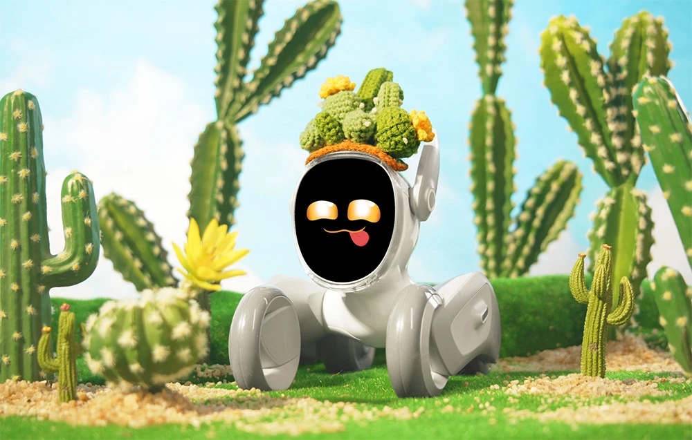 Knitted costume for Loona Premium Cactus aprašymas - Prekės nuotrauka