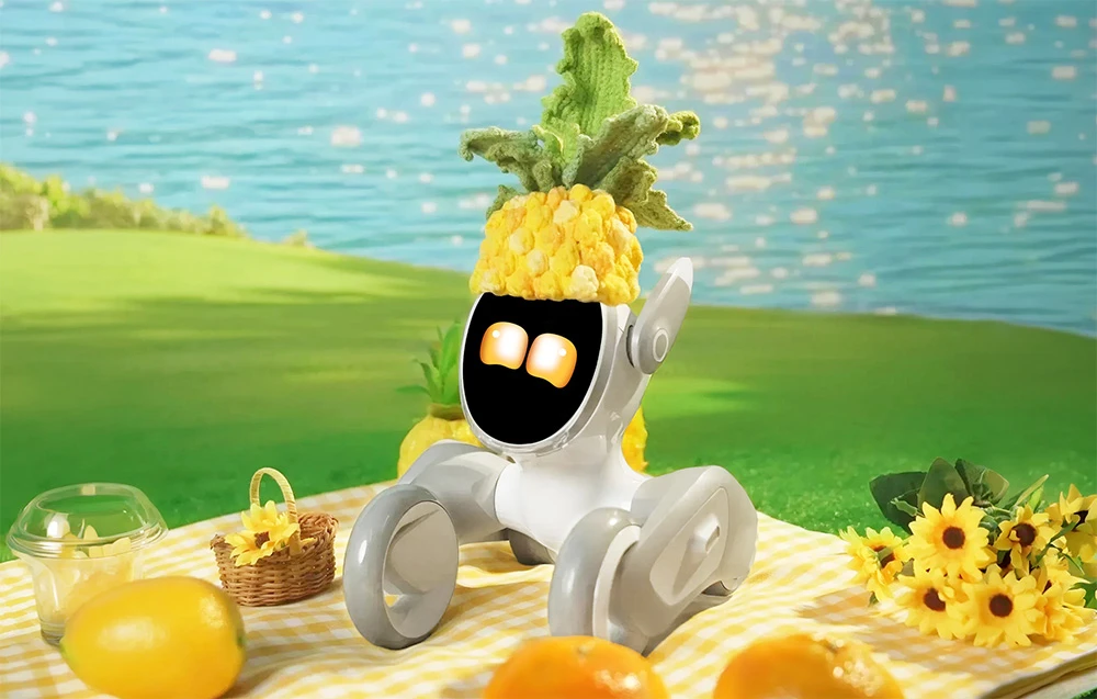 Megztas kostiumas Loona Premium Pineapple aprašymas - Prekės nuotrauka