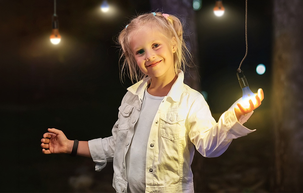 Lepro 330030-4 Baterija-Powered Camping Lamp aprašymas - Prekės nuotrauka