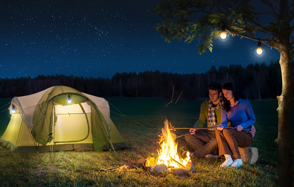 Lepro 330030-4 Baterija-Powered Camping Lamp aprašymas - Prekės nuotrauka