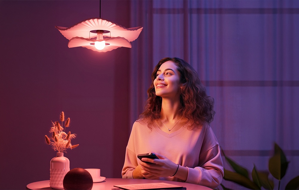 Lepro B2 E27 Wi-Fi LED Bulb aprašymas - Prekės nuotrauka
