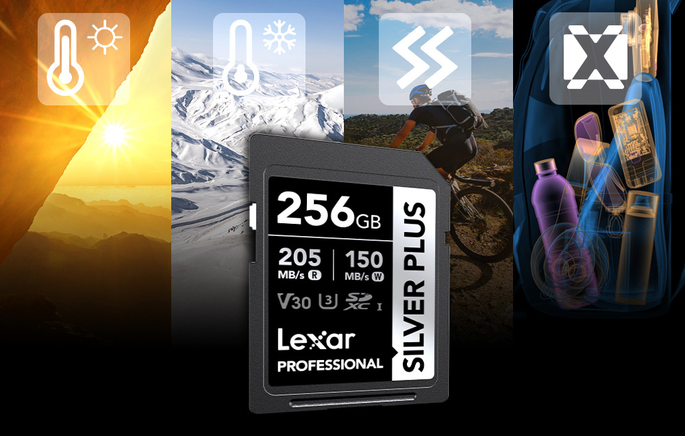 Atminties kortelė Lexar Professional Sidabrinis PLUS SDXC 256GB memory card aprašymas - Prekės nuotrauka