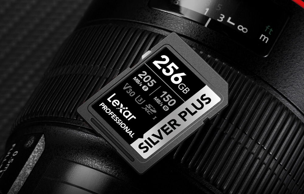 Atminties kortelė Lexar Professional Sidabrinis PLUS SDXC 256GB memory card aprašymas - Prekės nuotrauka
