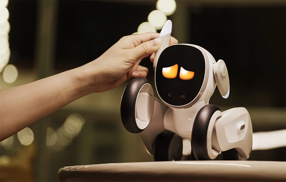 „Loona Premium“ interaktyvus robotas aprašymas - Prekės nuotrauka