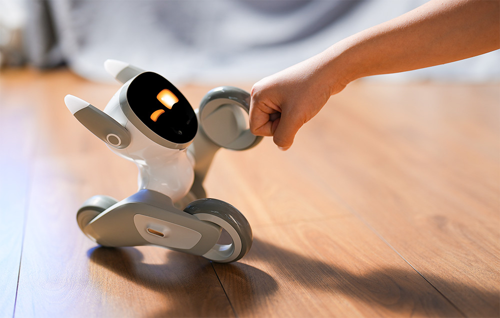 „Loona Premium“ interaktyvus robotas aprašymas - Prekės nuotrauka