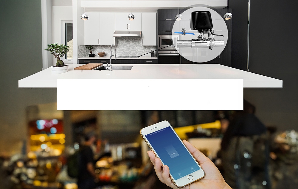 Moes Išmanusis Wi-Fi vandens sklendės valdiklis Tuya / Smart Life - juodas aprašymas - Prekės nuotrauka