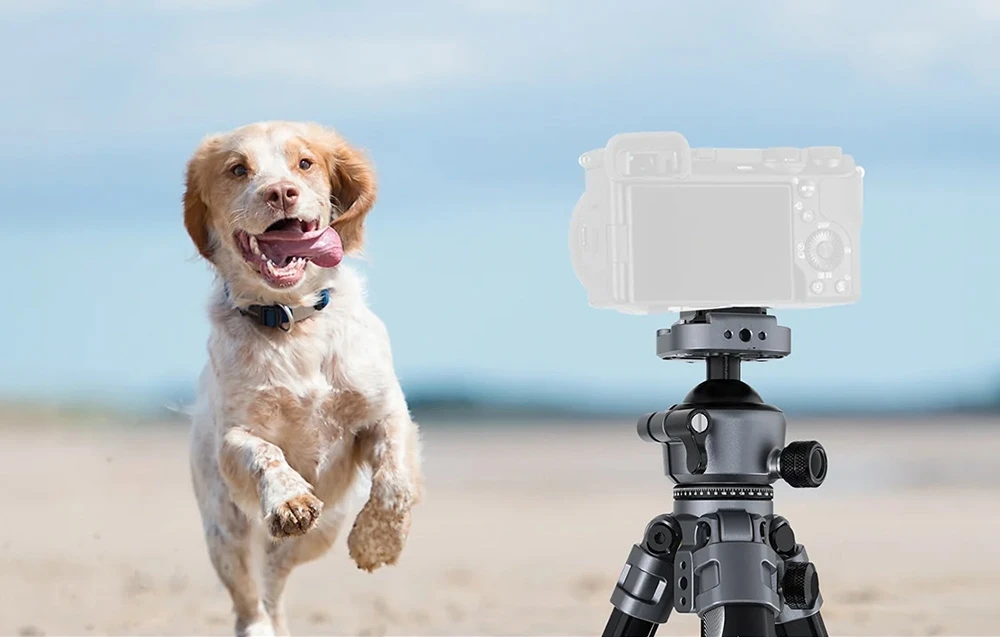 Neewer LT07 Aluminum Travel Tripod with Ball Head aprašymas - Prekės nuotrauka