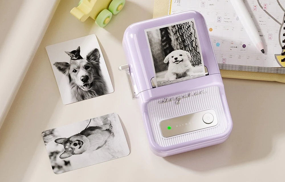 Niimbot B21 Pro Portable Label Spausdintuvas (violetinė) aprašymas - Prekės nuotrauka