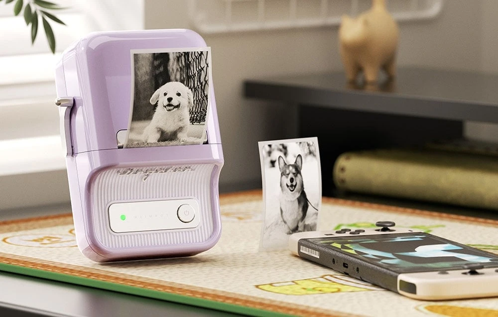 Niimbot B21 Pro Portable Label Spausdintuvas (violetinė) aprašymas - Prekės nuotrauka