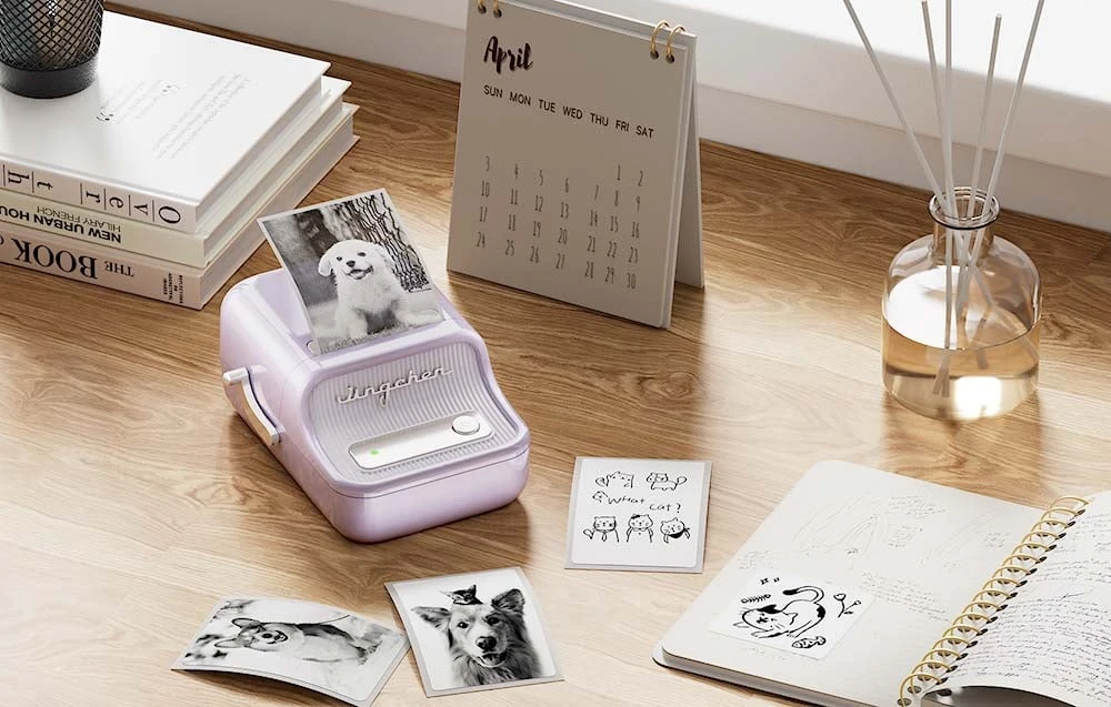 Niimbot B21 Pro Portable Label Spausdintuvas (violetinė) aprašymas - Prekės nuotrauka