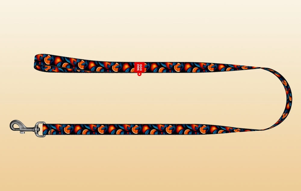 Nailoninis pavadėlis šuniui, raštas ''Oranges'' ilgis 122 cm Waudog aprašymas - Prekės nuotrauka Nailoninis pavadėlis šuniui, raštas ''Oranges'' ilgis 122 cm Waudog aprašymas - Prekės nuotrauka