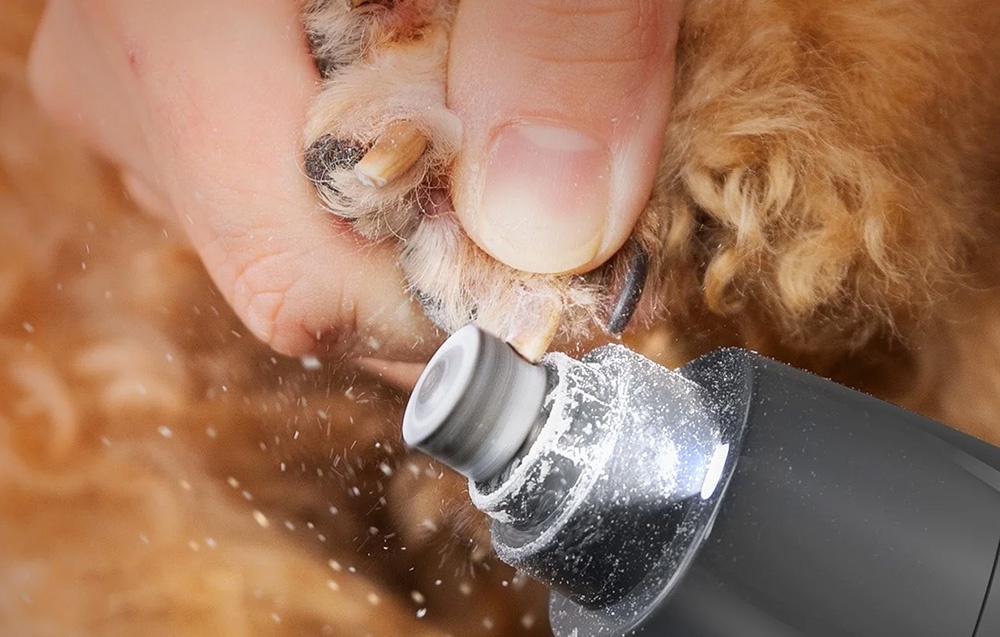 Oneisall 4-in-1 pet clipper kit FC10 aprašymas - Prekės nuotrauka Oneisall 4-in-1 pet clipper kit FC10 aprašymas - Prekės nuotrauka