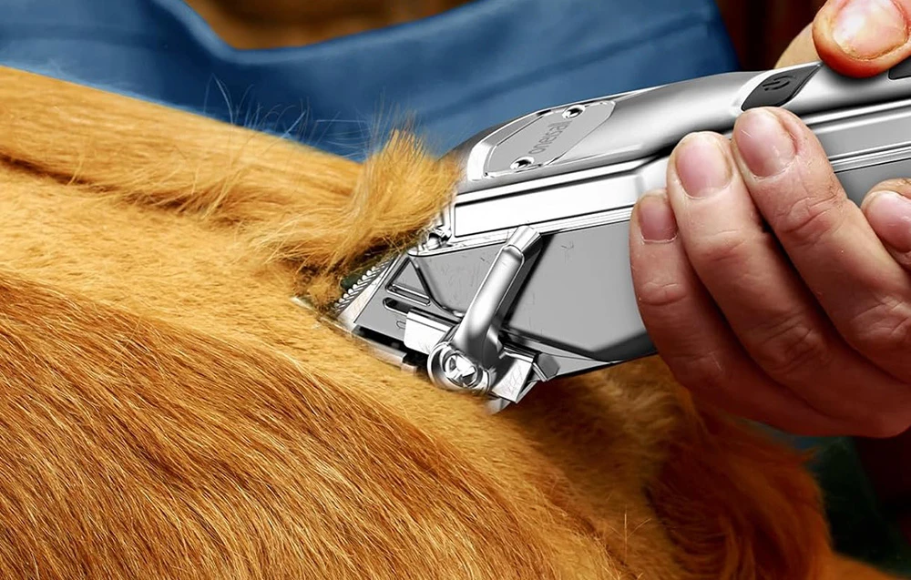 Pet Clipper rinkinys Oneisall RFC-676 + P20 aprašymas - Prekės nuotrauka Pet Clipper rinkinys Oneisall RFC-676 + P20 aprašymas - Prekės nuotrauka