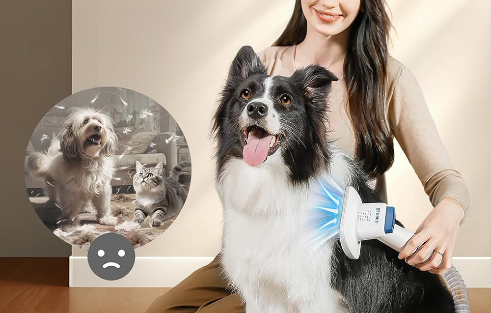 pet-grooming-kit-oneisall-bm1